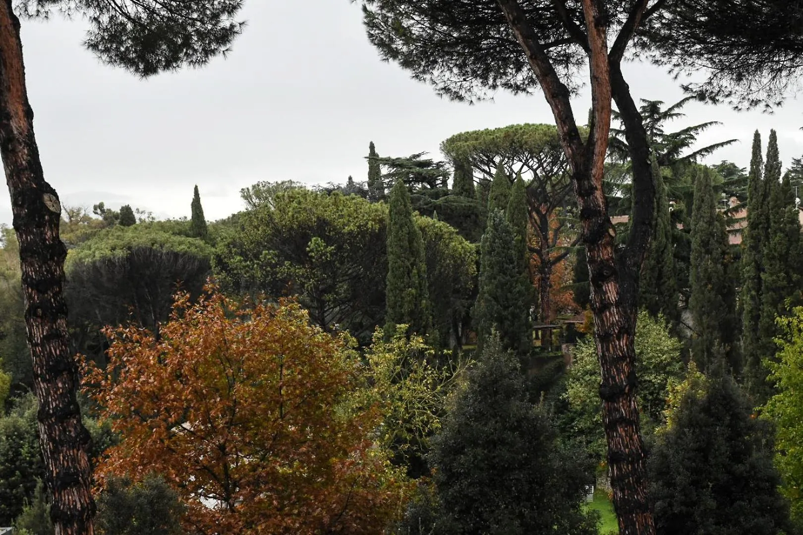 Maison Accademia Rome 0*,